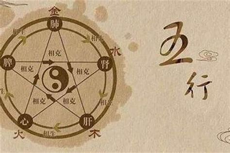 中五行|中字五行属什么